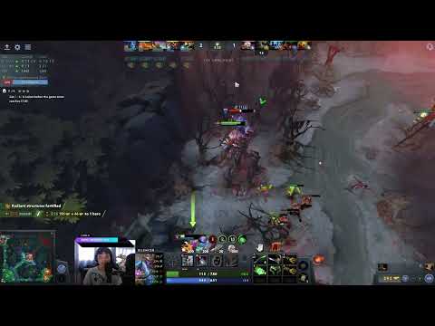 This is the reason why XinQ kicked out from PSG LGD