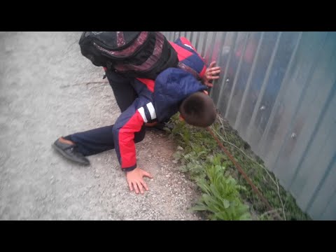 Да идите вы все нахуй (Для ВП)