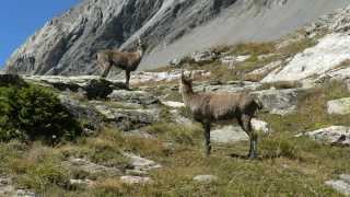 Vanoise - Termignon - Col de la Vanoise