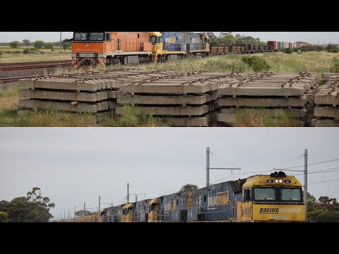 Some action in Manor loop and hoppers crossing