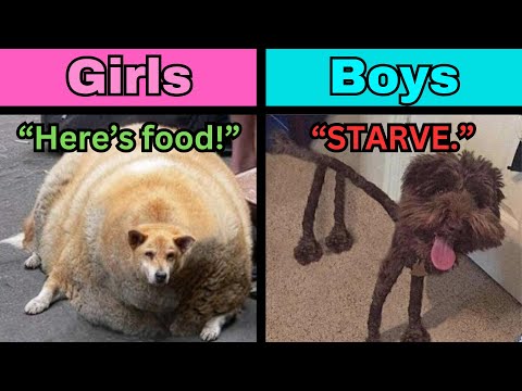 Girls vs Boys in Grow a Garden