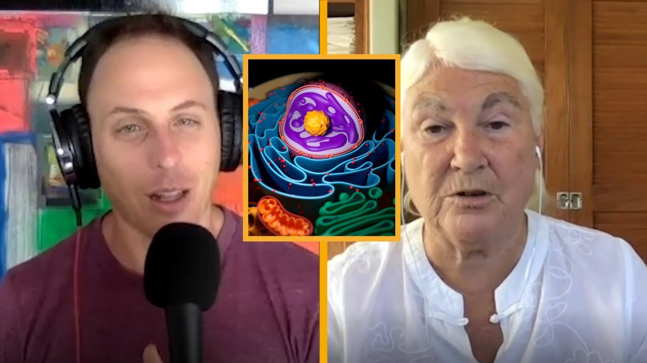 MITOCHONDRIAL DYSFUNCTION FROM GLYPHOSATE