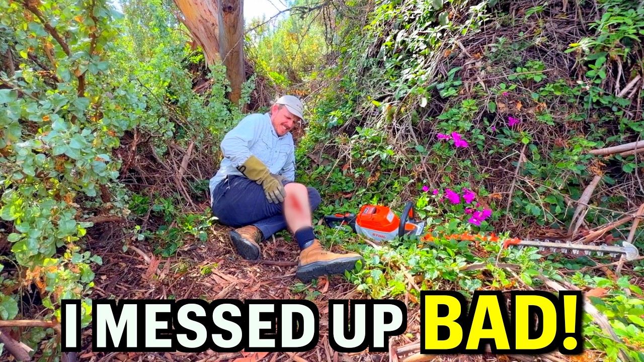 This Yard Turned Dangerous FAST – I Wasn’t Ready For What Was Here