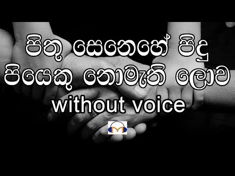 Pithu Senehe Pidu Karaoke (without voice) පිතු සෙනෙහේ පිදු පියෙකු නොමැති  ලොව