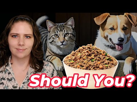 Is Home Cooking Right for Your Pet? Vet Weighs In (Part III)