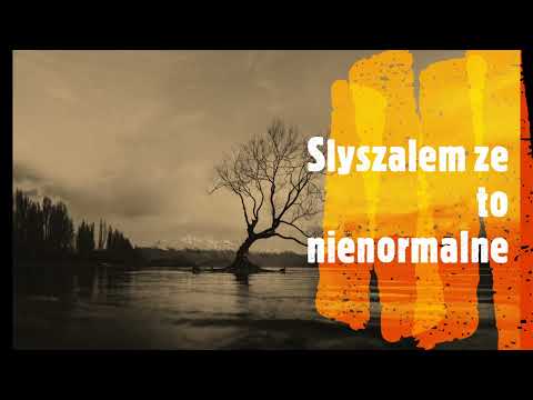 Paluch x Bonson - Słyszałem, że to Nienormalne. (SzUsty Blend)
