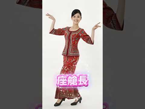 Singapore Airlines Uniform 新加坡航空制服