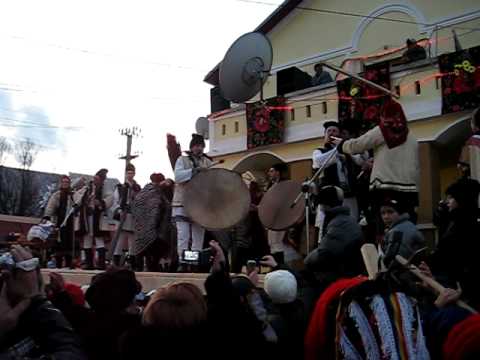 Capra din Malini 2009 (1)