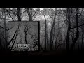 I Detest Volume One Full Album 2017 Slamming DeathCore