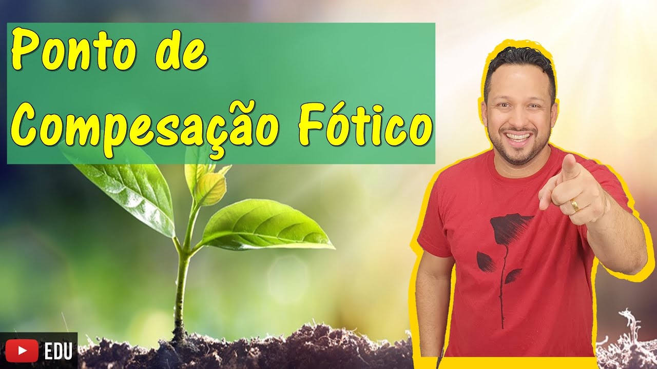 Ponto de Compensação Fótico ou Ponto de Compensação Luminoso - Fotossíntese - Botânica