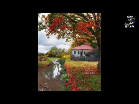 Programa: Caminho da Roça - 28/01/26 - Parte 1 - Apresentação: Paulinho