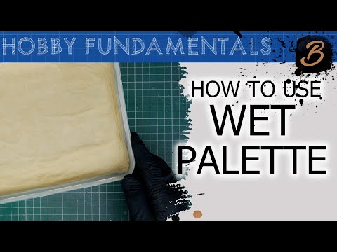 HOW TO MAKE AND USE A WET PALETTE: A Step-By-Step Guide