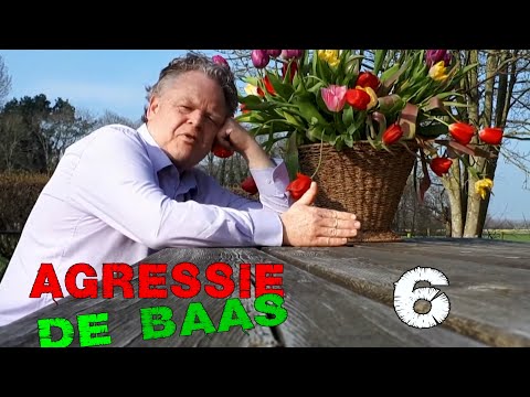 Agressie de baas afl 6  -  Mentale stress