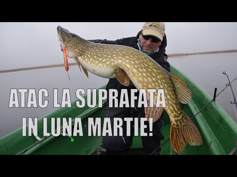 Pescuit la stiuca primavara pe Holbina Trei Bibani!