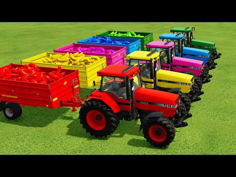 TRANSPORTING BANANA WITH COLORED CASE TRACTORS - Farming Simulator 22