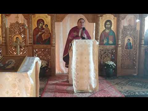 Pr. Nicolae Pavel - Vindecarea orbirii spirituale | Predici crestine