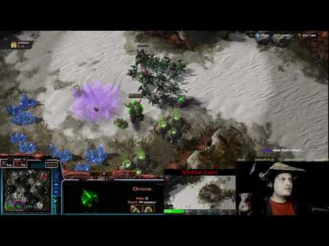StarCraft 2 Zerg vs Toss  We Meet Again