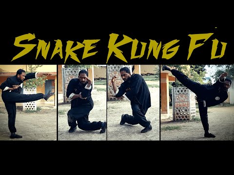 Shaolin Kung Fu Snake Style | Snake Fist Kung Fu Training | Snake Style Kung Fu - Conditioning |
