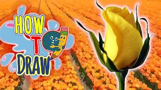 How to Draw Roses Step by Step | COLORING PAGE PRINTABLE | Easy Things to DRAW | DrawingwithKIDS