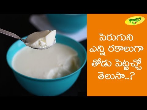 How to Prepare Curd | Making of Curd Recipe | TeluguOne Food