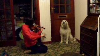 Alfie the Labradoodle sings " Happy Birthday " and " Silent Night "