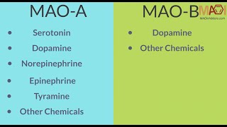 MAO Inhibitors (MAOI) -  Overview and How They Work
