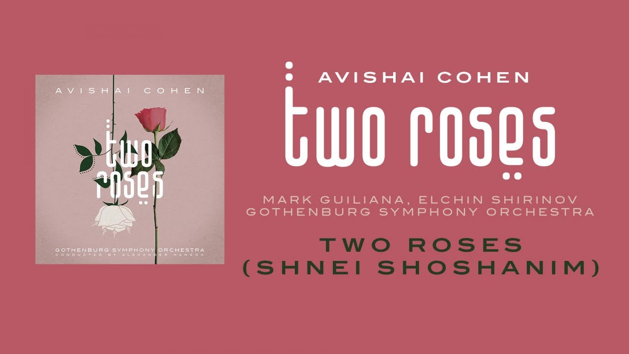 Avishai Cohen - Two Roses (w/ Mark Guiliana, Elchin Shirinov & Gothenburg Symphony Orchestra) - YouTube