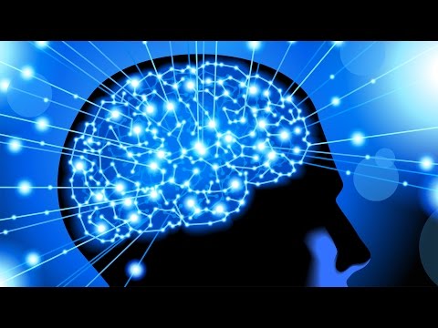 Dong Seon Chang: Mein Hirn hat seinen eigenen Kopf!