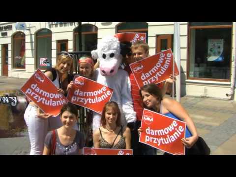 Free Hugs in Lublin / Darmowe przytulanie w Lublinie