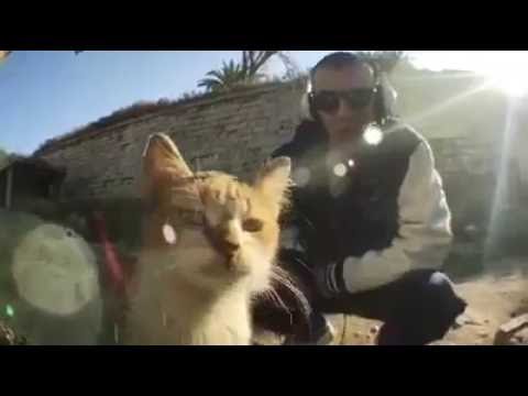 فيديو كليب شاهين العبقري 2016 كل شيت video clip Shahin el 3abkary 2016 Kol shit