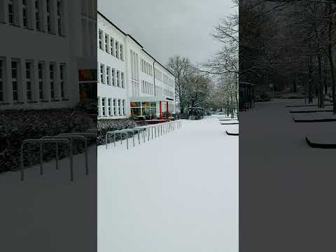 #hochschule #stralsund #university #students #winter #white #snow #2023 #shorts #trending #germany