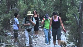 preview picture of video 'Monthly Hike Group Fletcher Canyon Mt. Charleston Hike August 14 2011 HD720p'
