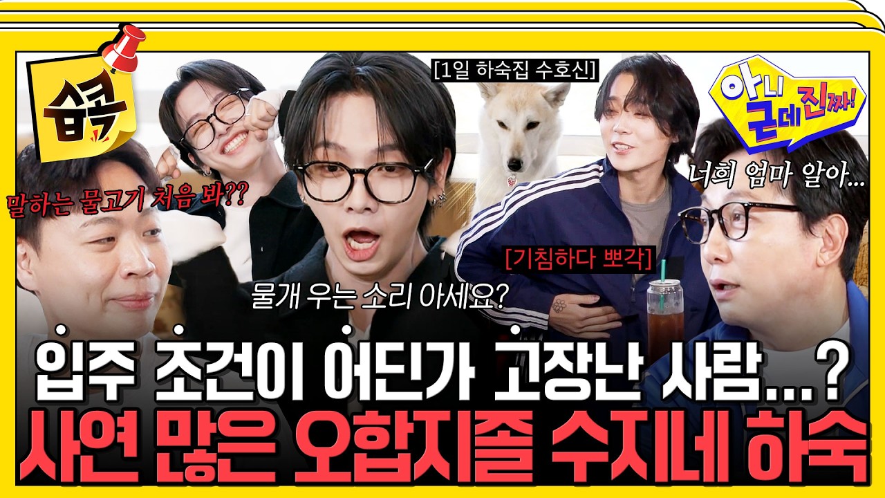 [#습콕📌] 명재현이 아빠를 자꾸 소환한 이유?!🤣 갈비뼈 금 간 던부터 이상준까지 대환장 하숙생들 #아?