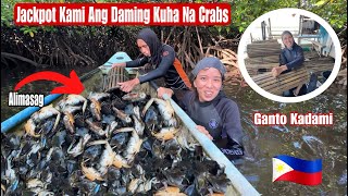 Ganto Kadami Nahuli Namin Crabs Sa Mangroves|Gamit Ang Bamboo Traps