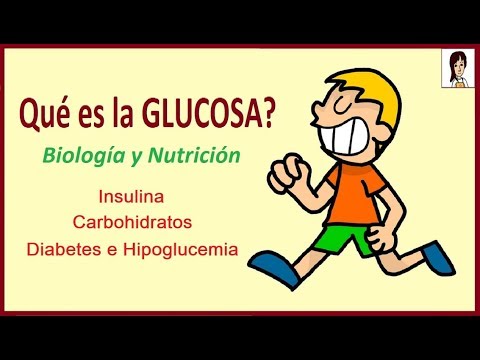 Que es la glucosa? Vemos además insulina,  diabetes,  hipoglucemia, carbohidratos y nutrición azucar