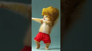 😻😻Cat videos funny dance 💃💃Videos for cats #cats #cat #cute #catdancer #funny