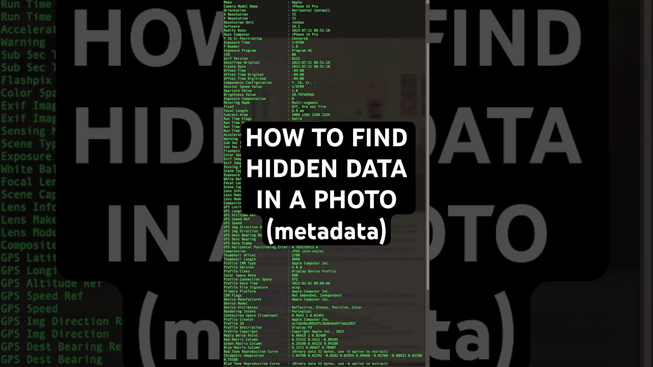 How to view metadata - #5 OSINT Advent Tools & Techniques