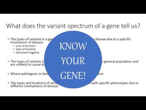 Use of Genetic Variant-Spectrum Evidence in the ACMG/AMP Sequence Variant Interpretation Guidelines