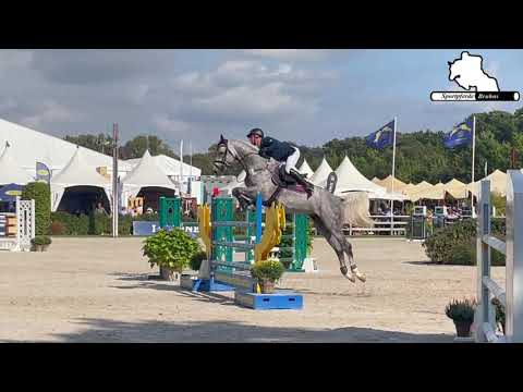 CEMPEROR ~ 5j. gekörter Hengst v. Cellestial-Kaiserwind ~ Weltmeisterschaft Junge Pferde alle Runden