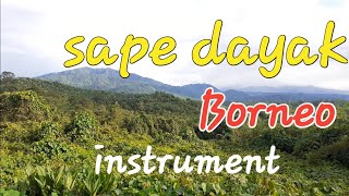Download lagu instrument sape dayak kalimantan | Menikmati indahnya alam indonesiaku mp3 Download lagu instrument sape dayak kalimantan | Menikmati indahnya alam indonesiaku mp3