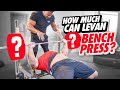 HOW MUCH CAN THE WORLD'S STRONGEST ARM WRESTLER, LEVAN SAGINASHVILI, BENCH PRESS?