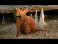 Elmo S World Quizzes Horses