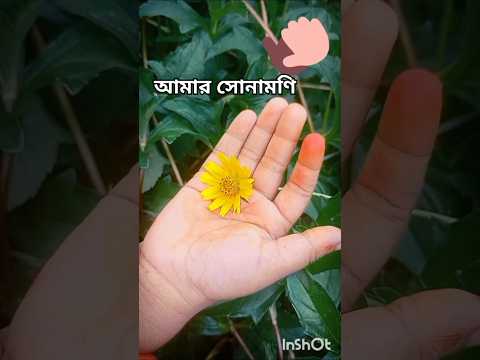 Nature’s Art: A Burst of Ghas Floral Beauty #gardening #trending #shorts