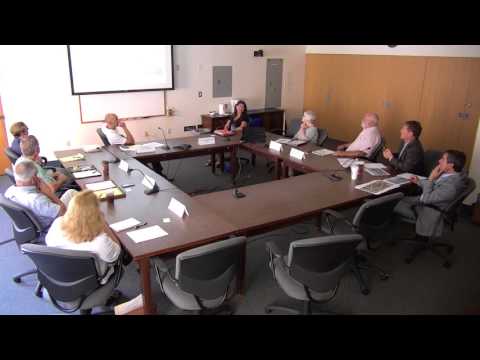 08.02.17: Vaughan Worth Bridge Strategic Planning Committee,