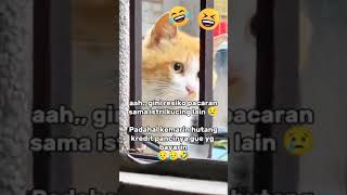 Download lagu Hikayat Cinta si Meong 🤣 mp3