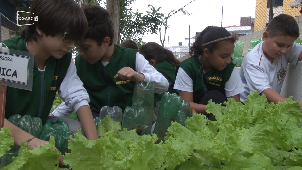 Escola são-bernardense fomenta educação ambiental 