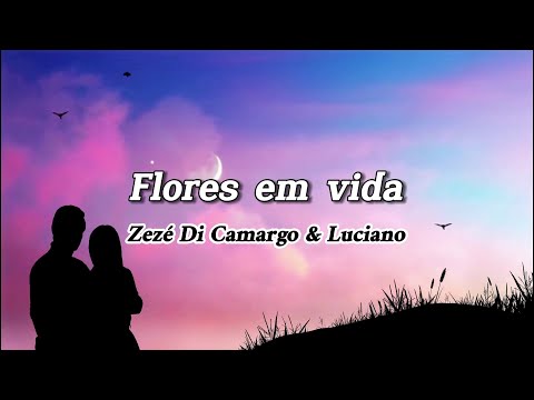 Zezé Di Camargo e Luciano - Flores em vida (Letra)