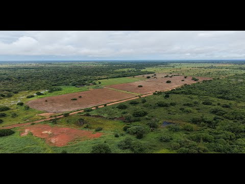 Mato Grosso - São Félix do Araguaia - Assentamento PA Dom Pedro