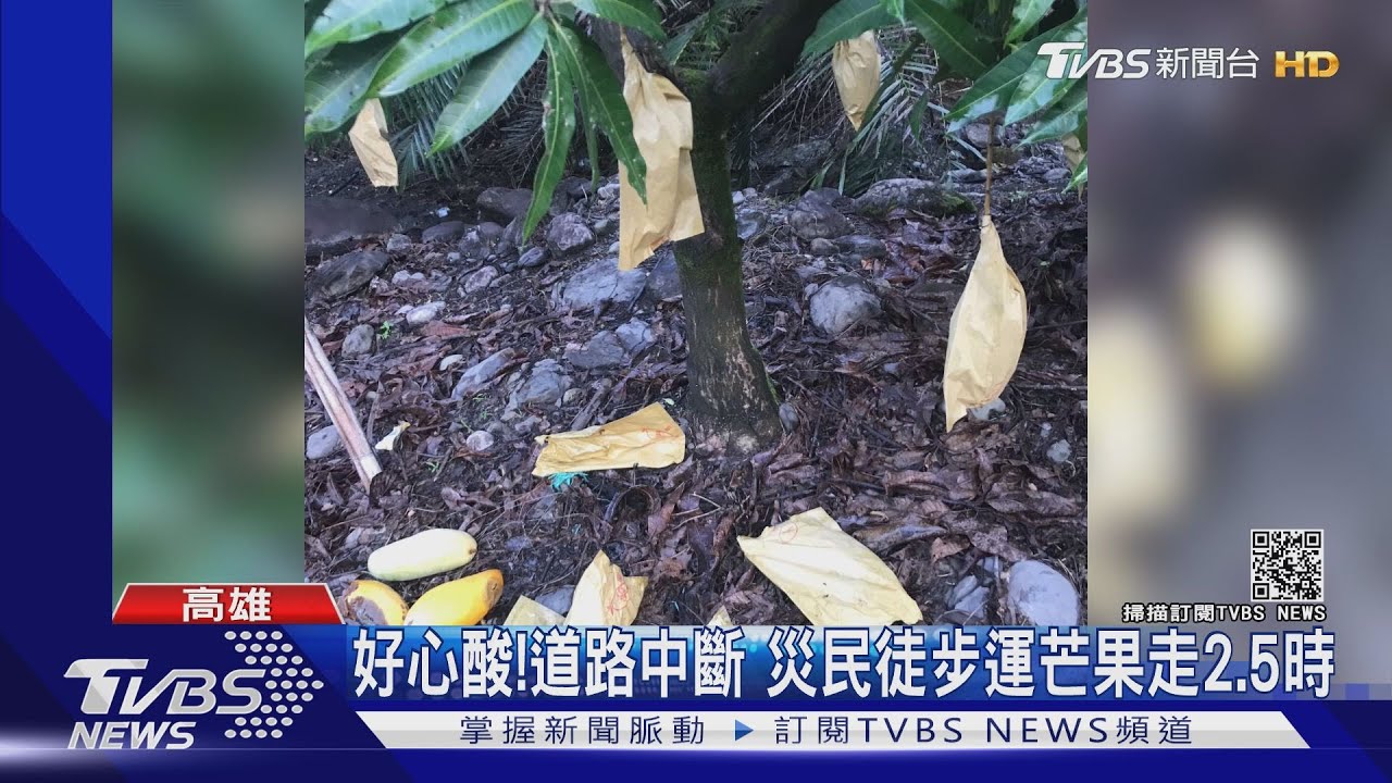 真的好心酸!桃源道路中斷 災民徒步運芒果走2.5時