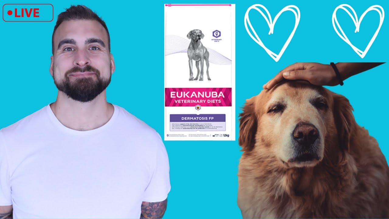 Q&A: Benefits of Petting Dogs, Caring for Elderly dogs & Eukanuba Dermatosis